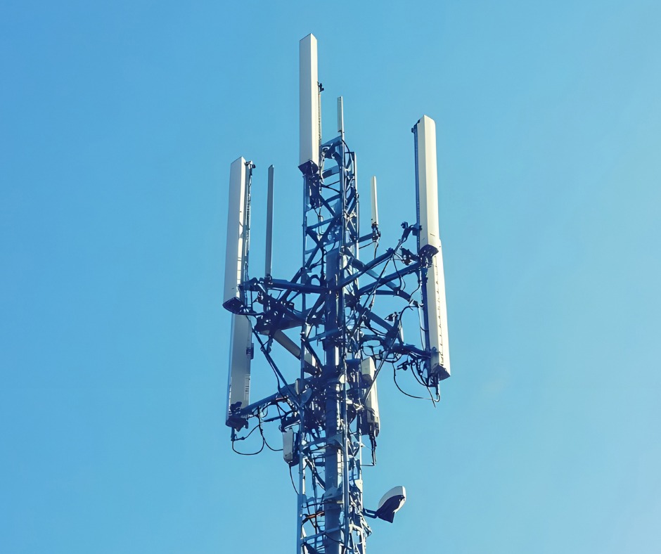 Backbone y Red Propia