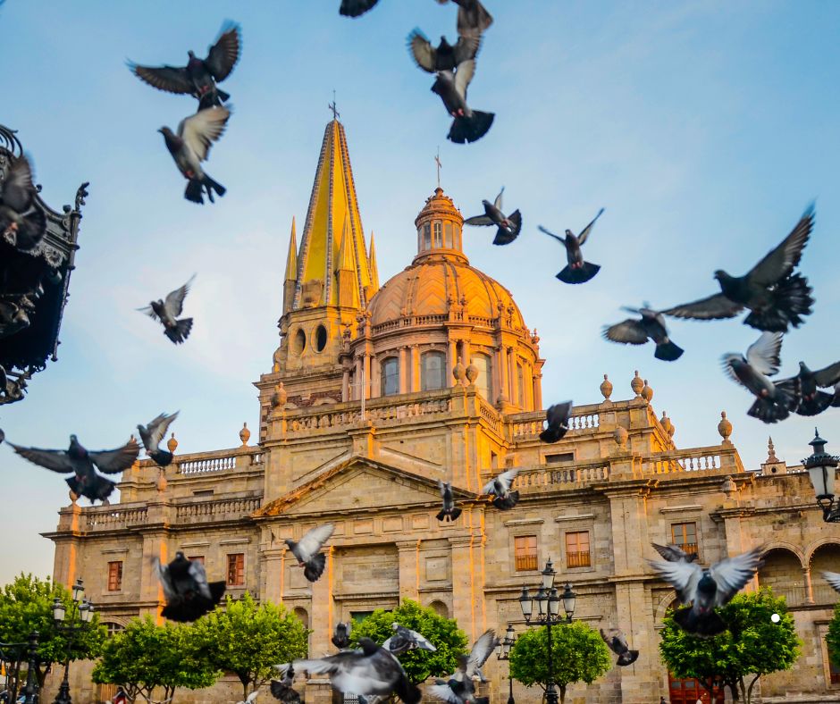 24 Estados operando en México