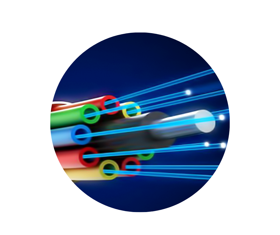 Backbone y Red Propia
